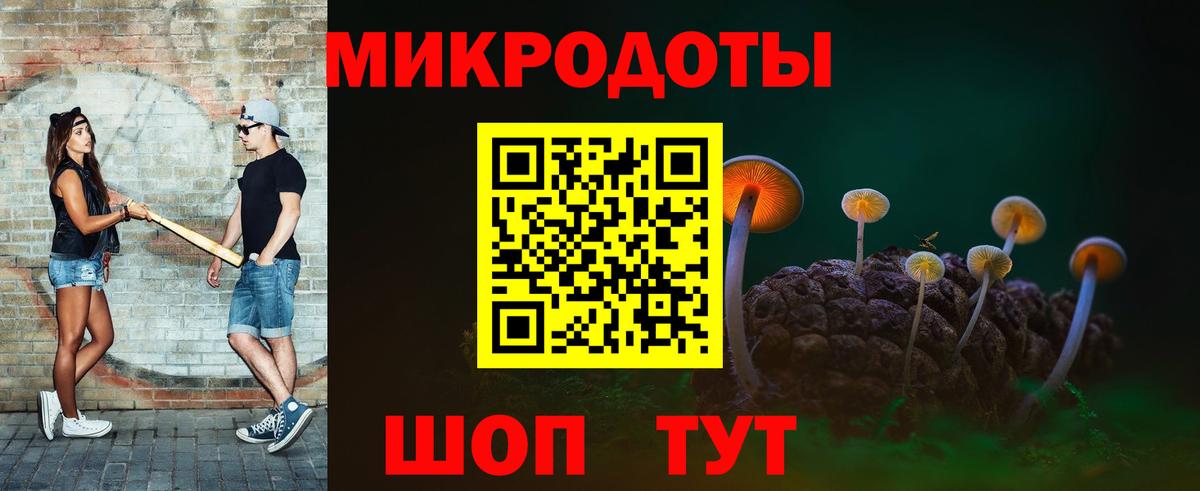 Галлюциногенные грибы Psilocybine cubensis Тимашёвск