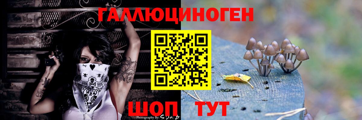 Тимашёвск  даркнет сайт  Вход с VPN  Галлюциногенные грибы Cubensis 